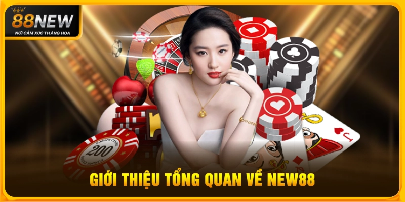 Giới Thiệu Tổng Quan Về Nhà Cái NEW88